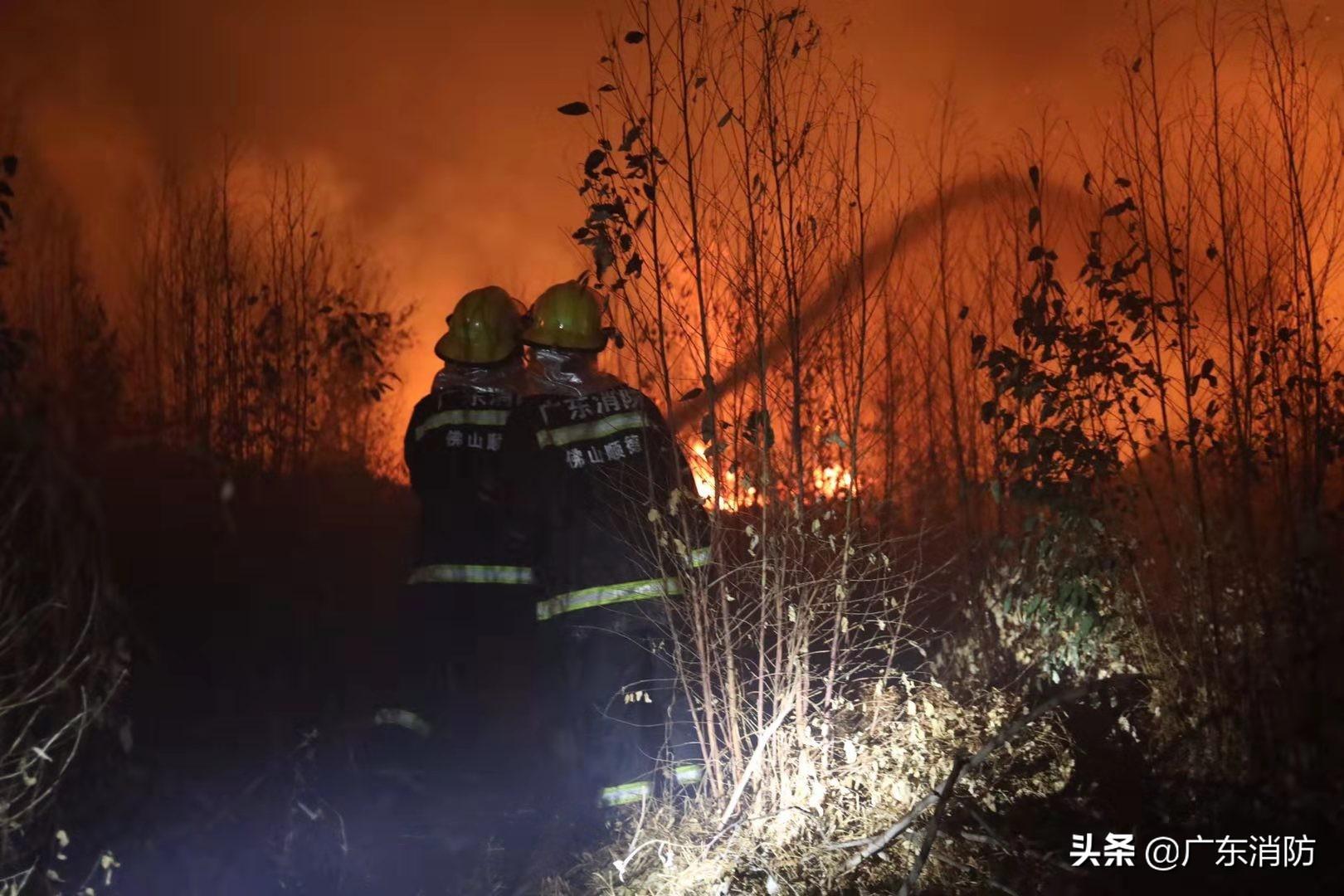 广东肇庆山火扑救行动，六百勇士的奋战瞬间