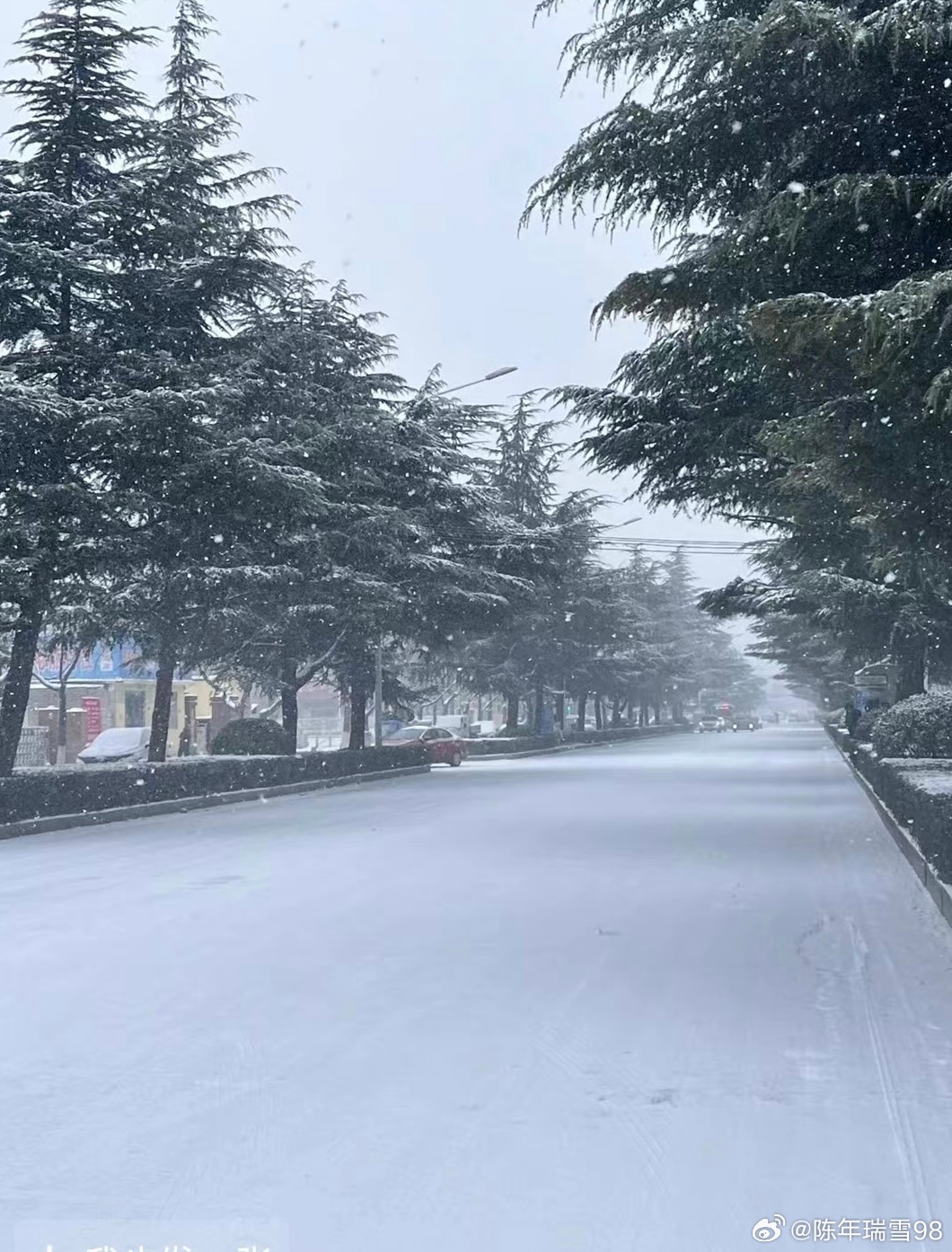 河南积雪深度超20cm，一场罕见的冬日雪情