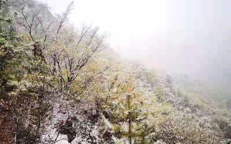 大年初四北京下雪了！瑞雪兆丰年，京城银装素裹