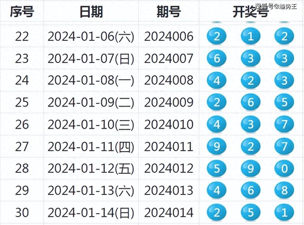 2024年开奖记录历史