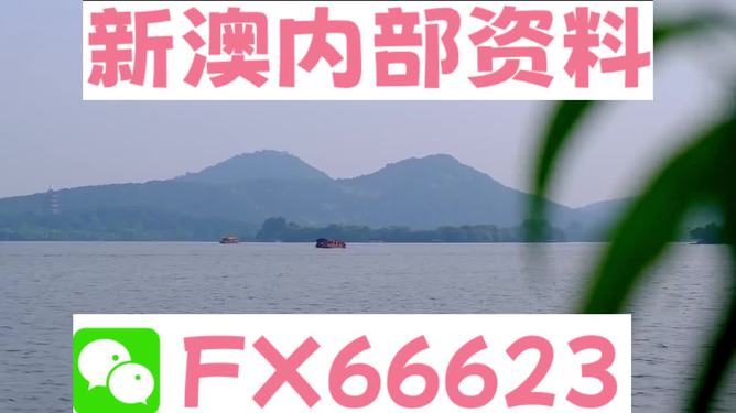 揭秘！3D55.868背后隐藏的秘密——新澳精选资料如何用量化绩效评估颠覆未来？