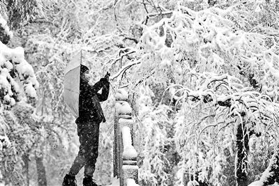 惊！山东多地突降暴雪，13厘米积雪背后竟暗藏这些危机？