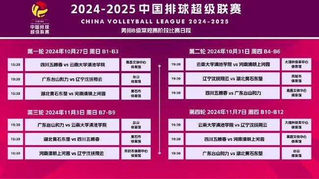 新澳2025年精准资料32期，揭示数字选择的技巧，NE版45.961背后的秘密与惊喜！